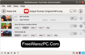 mediahuman youtube downloader mac crack