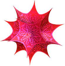 Wolfram Mathematica 13.2.0 Crack